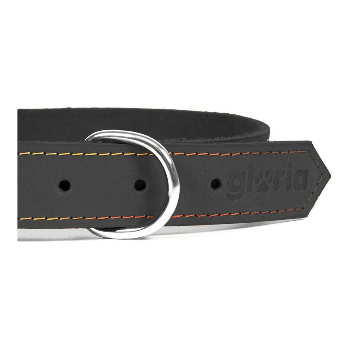 Collar para Perro Gloria Oasis Negro (70 x 3 cm)